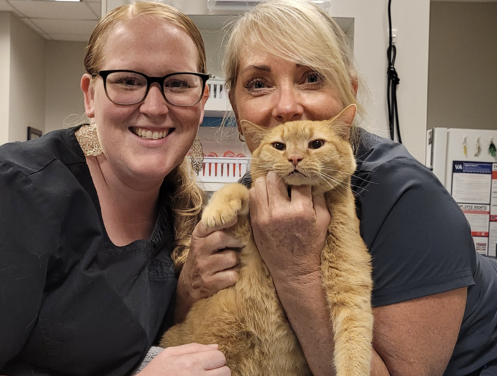 $city Vet Exams
