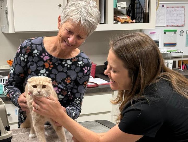 Preventive Care for Cats