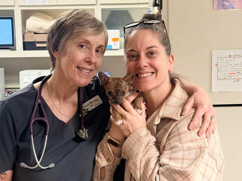 veterinarian near me