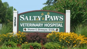 Animal, Veterinary, Hospital, Clinic, Salty Paws, Yorktown, Newport News, Hampton Roads, Poquoson, Salty Paws